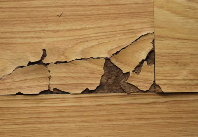 blogarticle repairing a damage 1758232171333 3g41tf