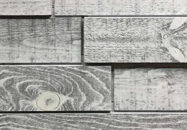 1867 Elevation Wild Wall Concept Eclipse