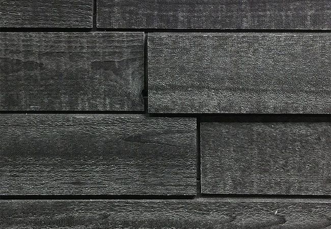 1867 Elevation Wild Wall Concept Shadow