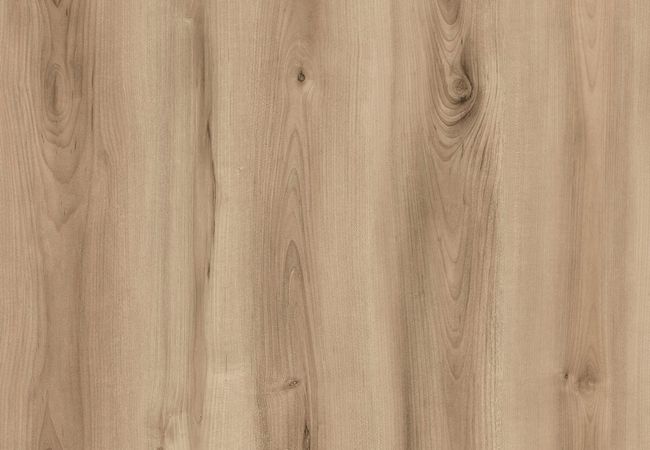 1867 Evolution Origin Boa