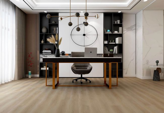 Evolution Serie Origin