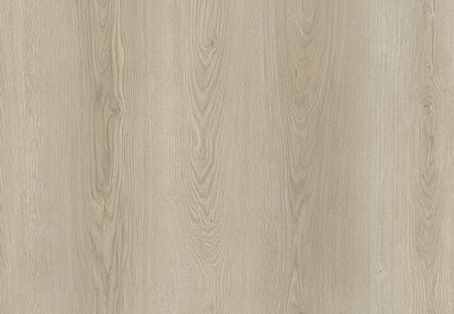 1867 Evolution Rise Persei