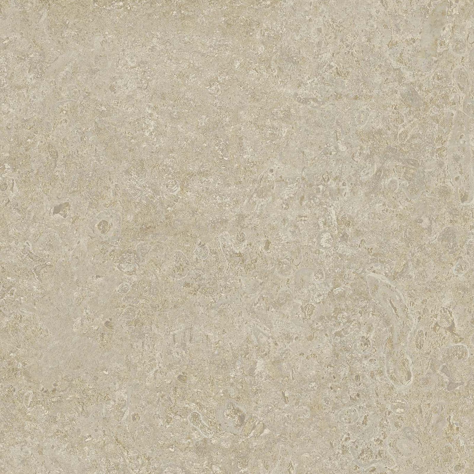1867 Floors Coral Stone Beige Porcelain 24" x 24", 1867 Floors