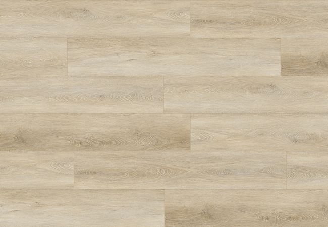 4 Corners Nexgen Blackcomb