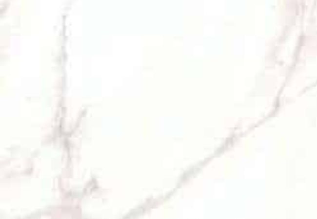 Amazing Porcelain Tile 6292 24x48