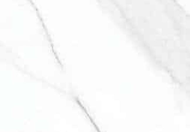 Amazing Porcelain Tile Calcatta Bianco 24x48