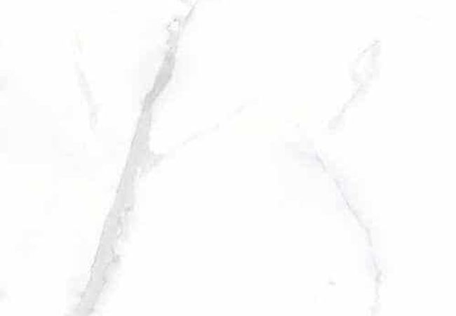 Amazing Porcelain Tile Cava Bianco 24x24