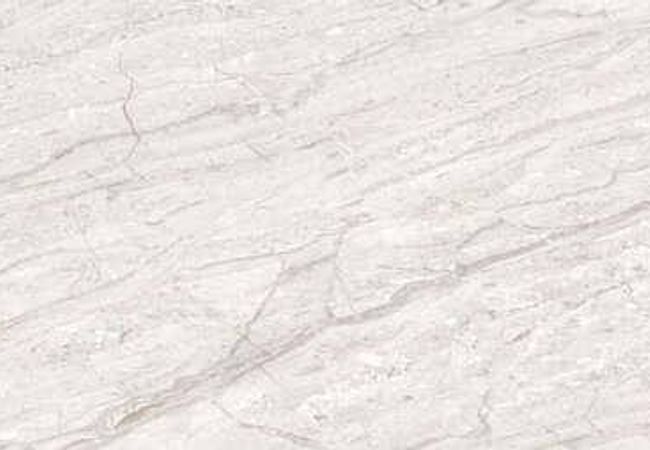 Amazing Porcelain Tile Dallas Bianco R1 24x48