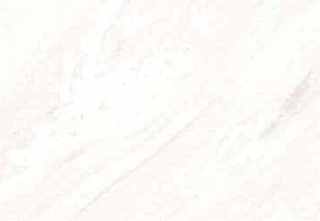 Amazing Porcelain Tile Rodas Blanco 12x24