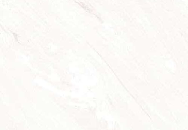 Amazing Porcelain Tile Rodas Blanco 24x24