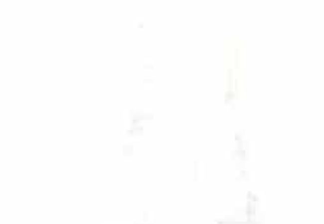 Amazing Porcelain Tile Royal Satvario 24x48