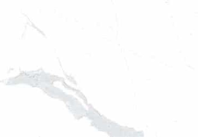 Amazing Porcelain Tile Satvario Quantuam 12x24