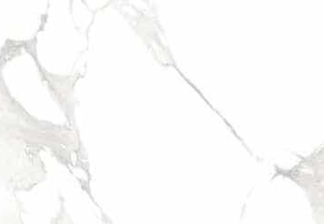 Amazing Porcelain Tile Soft Satuvario 24x48