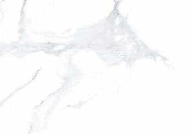 Amazing Porcelain Tile Staturio Elegant 12x24