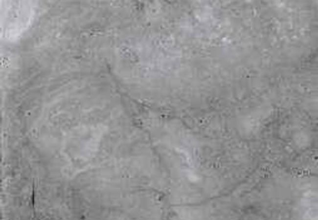 Amazing Porcelain Tile Unicorn 3 12x24