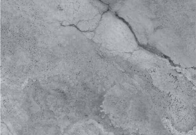 Amazing Porcelain Tile Unicorn 3 Gl 24x24