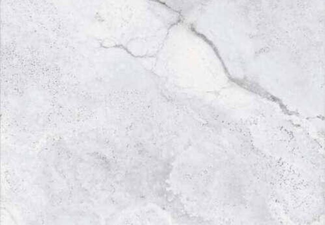 Amazing Porcelain Tile Unicorn 5 Gl 24x24