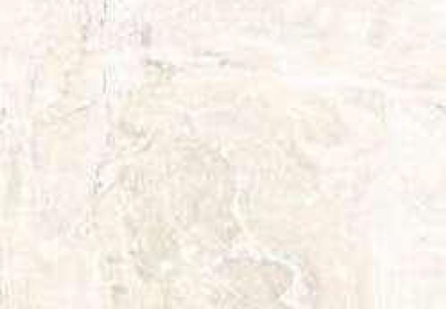 Amazing Porcelain Tile Valencia Light 24x48