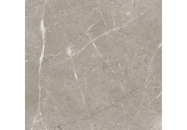 Anatolia Tile Ritz Gray 24 x 24 Polished / Honed Natural Stone