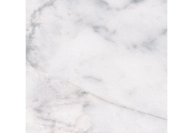 Anatolia Tile Classic Carrara Porcelain 12 x 12 Pressed Matte