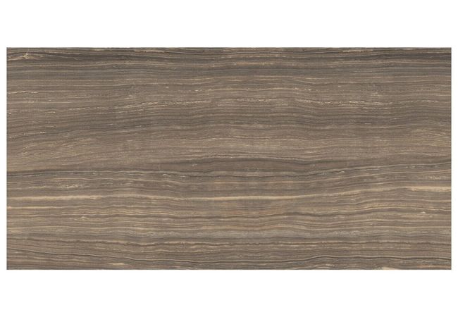 Anatolia Tile Eramosa Natural Porcelain 18 x 36 Rectified Matte