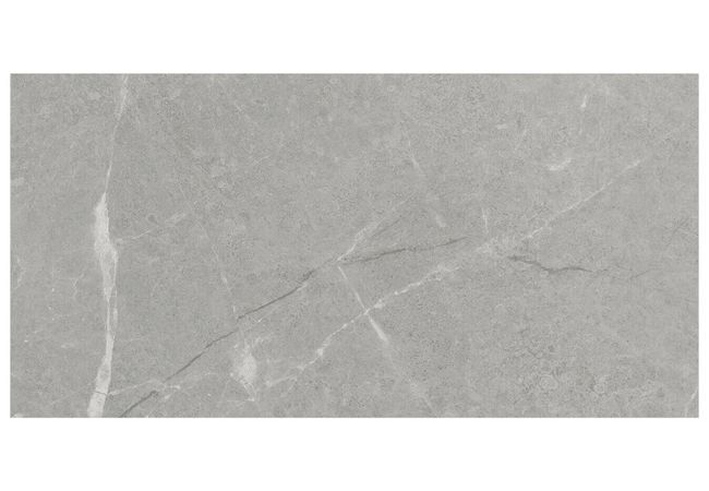 Anatolia Tile Torino Argento Porcelain 12 X 24 Pressed Matte