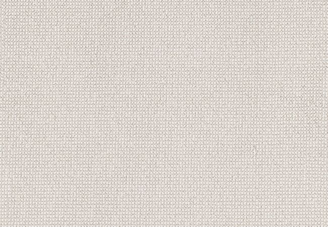 Anderson Tuftex Alluring Cotton