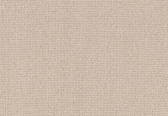 Anderson Tuftex Alluring Papyrus