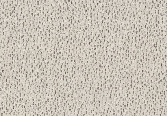 Anderson Tuftex Ambitious Canvas