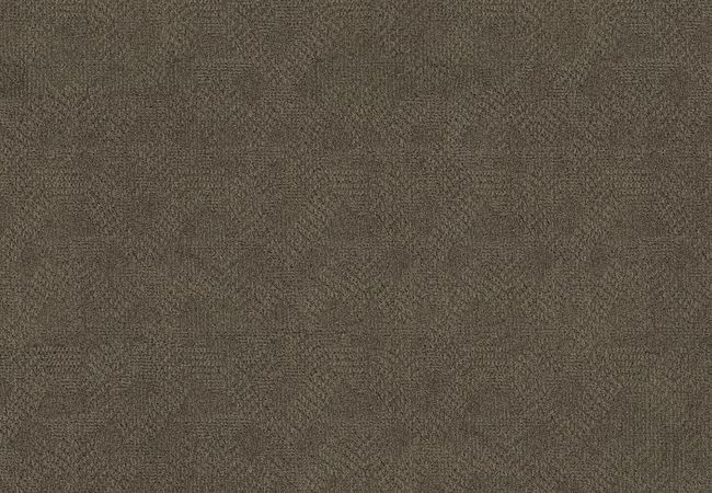 Anderson Tuftex Ario Apparition