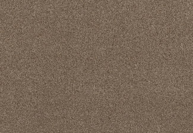 Anderson Tuftex Bossa Nova Joshua Tree