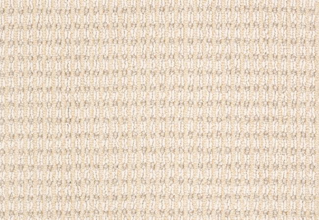 Anderson Tuftex Carpet Abbey's Road Aura