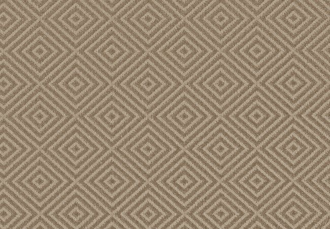 Anderson Tuftex Carpet Aristocrat Birchwood