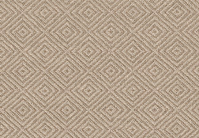 Anderson Tuftex Carpet Aristocrat Cashmere