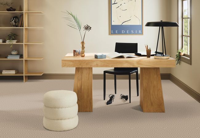 Anderson Tuftex Carpet Aristocrat Cashmere view 2