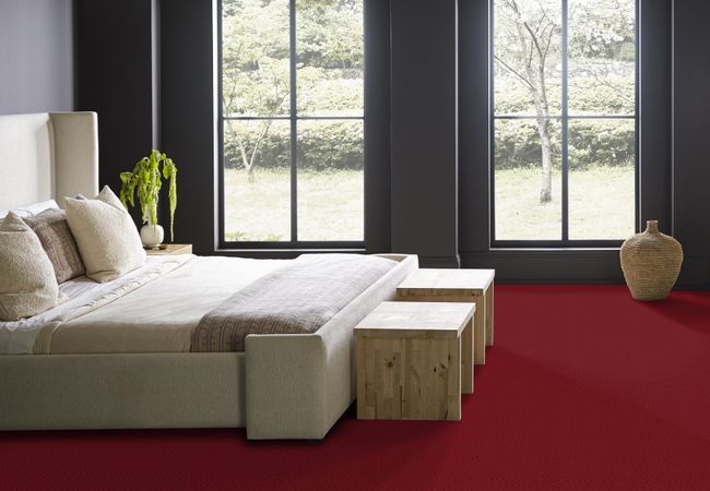 Anderson Tuftex Carpet Aristocrat Cherry Blossom view 3