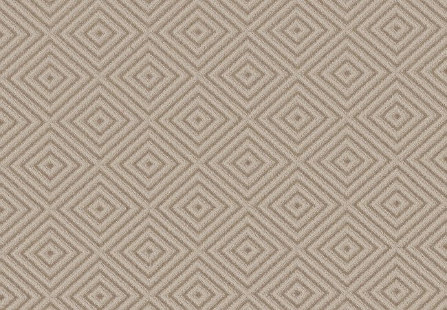 Anderson Tuftex Carpet Aristocrat Linen