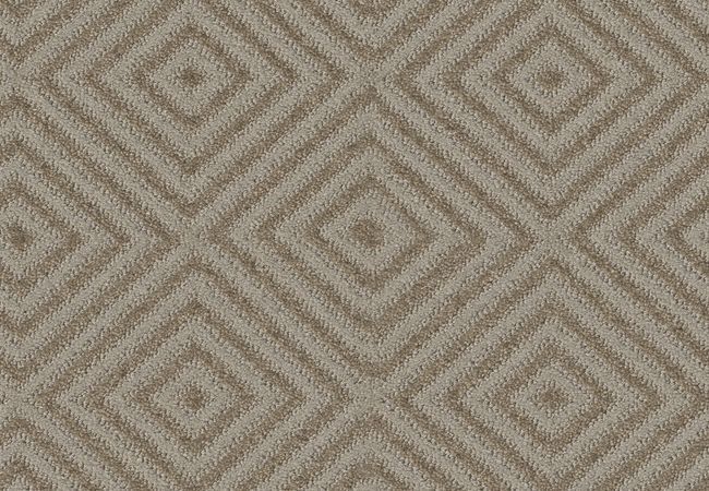 Anderson Tuftex Carpet Aristocrat Shady