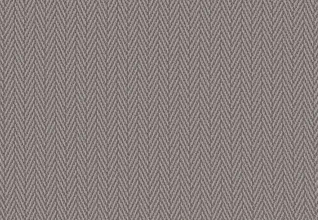 Anderson Tuftex Carpet Aristocrat Silver Polish