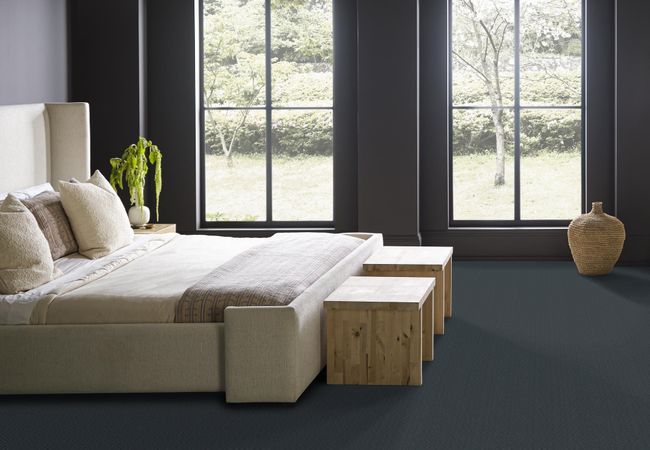 Anderson Tuftex Carpet Aristocrat Solstice view 3