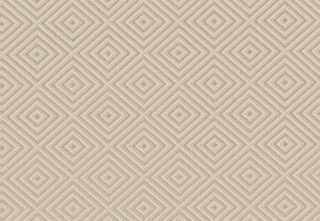 Anderson Tuftex Carpet Aristocrat Sparkling