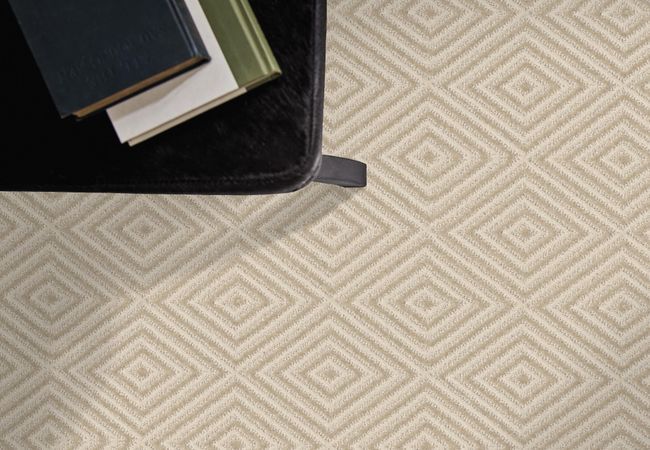 Anderson Tuftex Carpet Aristocrat Sparkling view 2