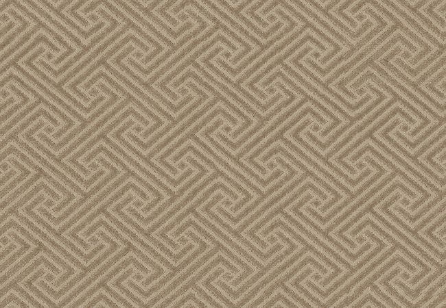 Anderson Tuftex Carpet Artifact Birchwood