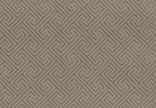 Anderson Tuftex Carpet Artifact Shady