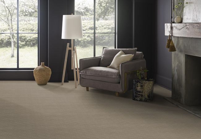 Anderson Tuftex Carpet Artifact Shady view 2