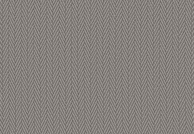 Anderson Tuftex Carpet Artifact Silver Polish