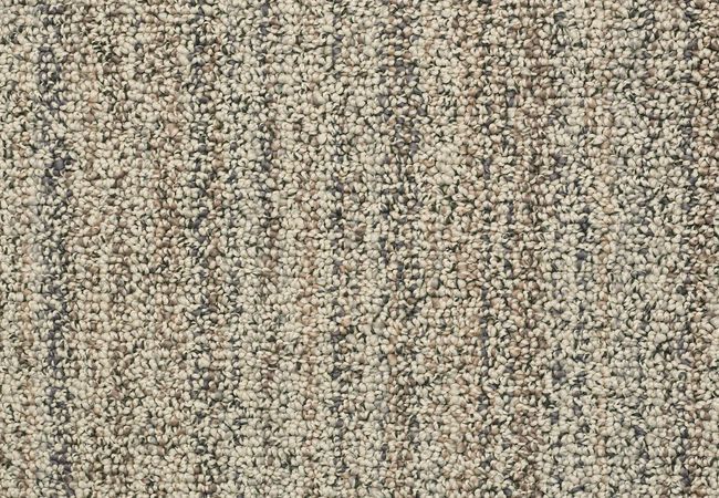 Anderson Tuftex Carpet Aspen Creek Cedar Grove