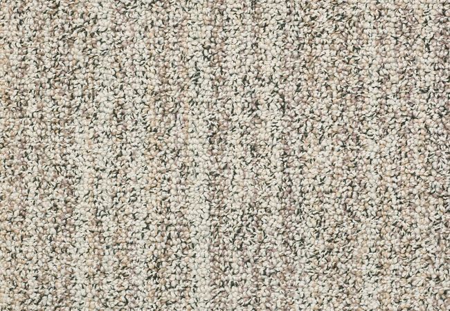 Anderson Tuftex Carpet Aspen Creek Winter Oak