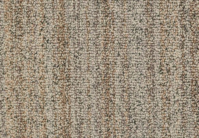Anderson Tuftex Carpet Aspen Creek Wooded Acre