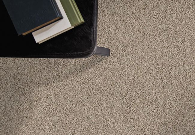 Anderson Tuftex Carpet Bali Big Stone view 2